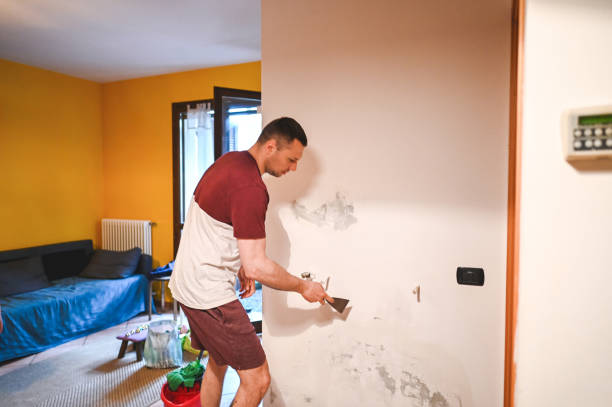 Best Mold Remediation for Schools in Italy, TX
